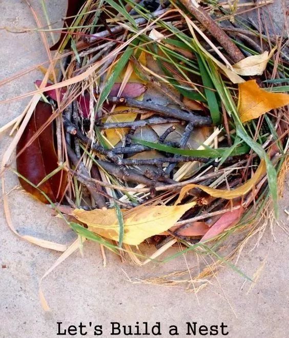 100种创意树枝,幼儿园手工装扮树枝