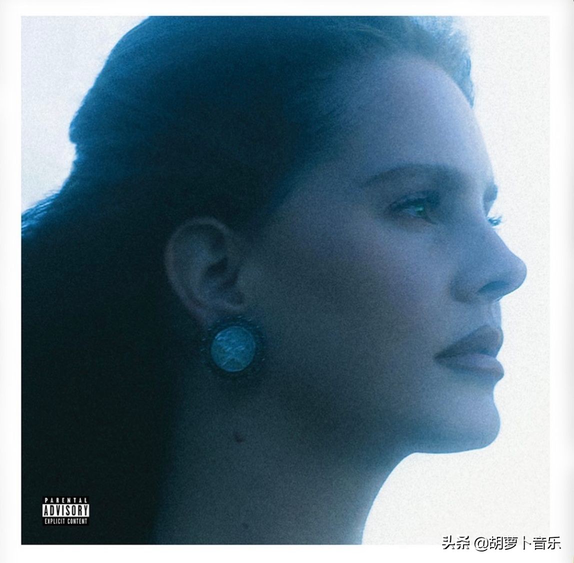 adele回归舞台,adele打雷姐