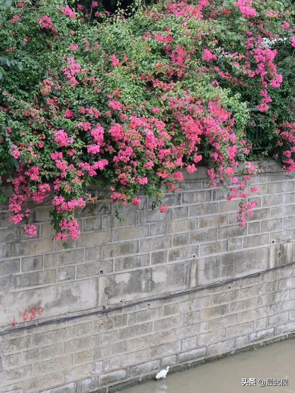 少陵路属于什么街道,三年前少陵路