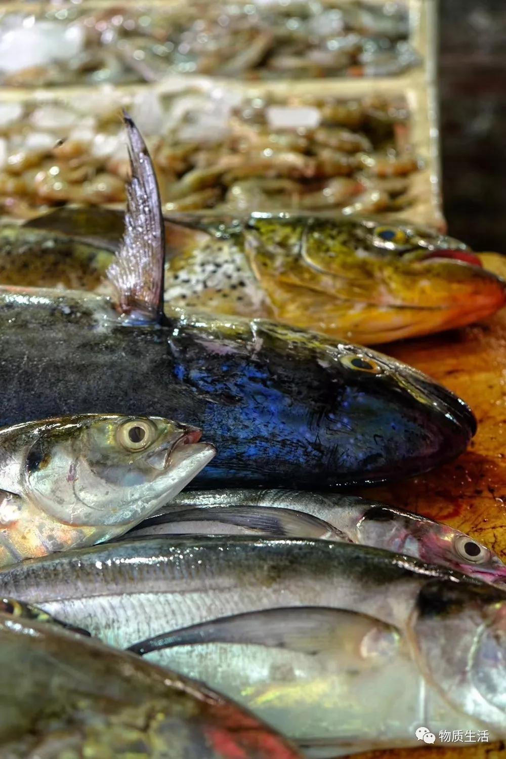 巴厘岛四季如夏吗,阳光明媚的巴厘岛