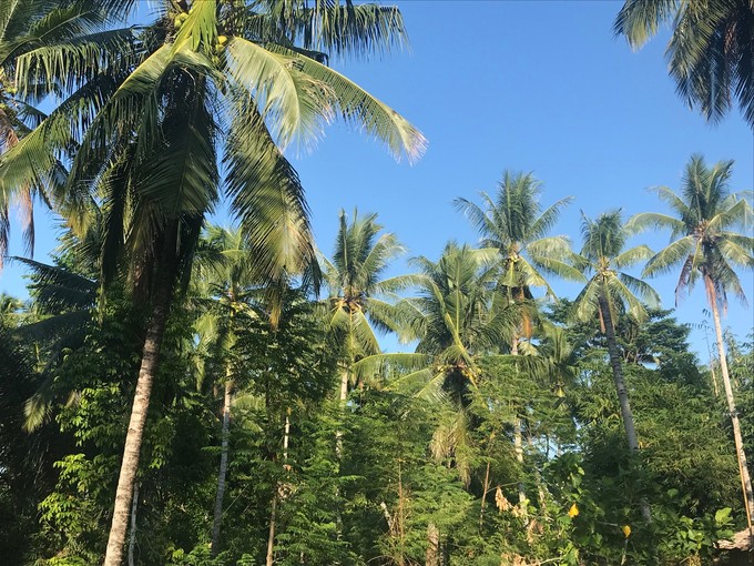 岛民旅游攻略,美娜多旅游详细攻略