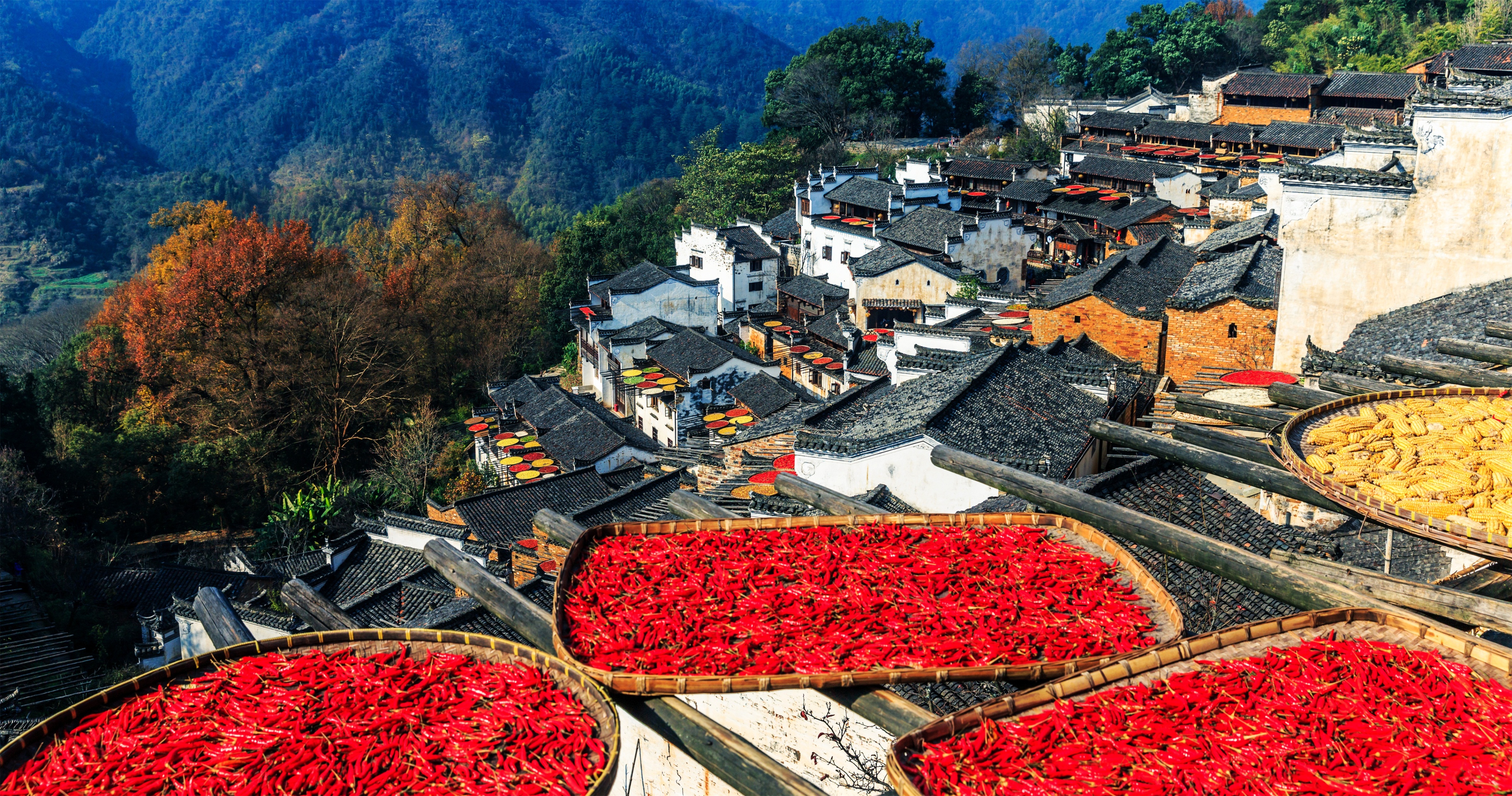 婺源篁岭晒秋古镇忆江南庭院,篁岭最美古村晒秋