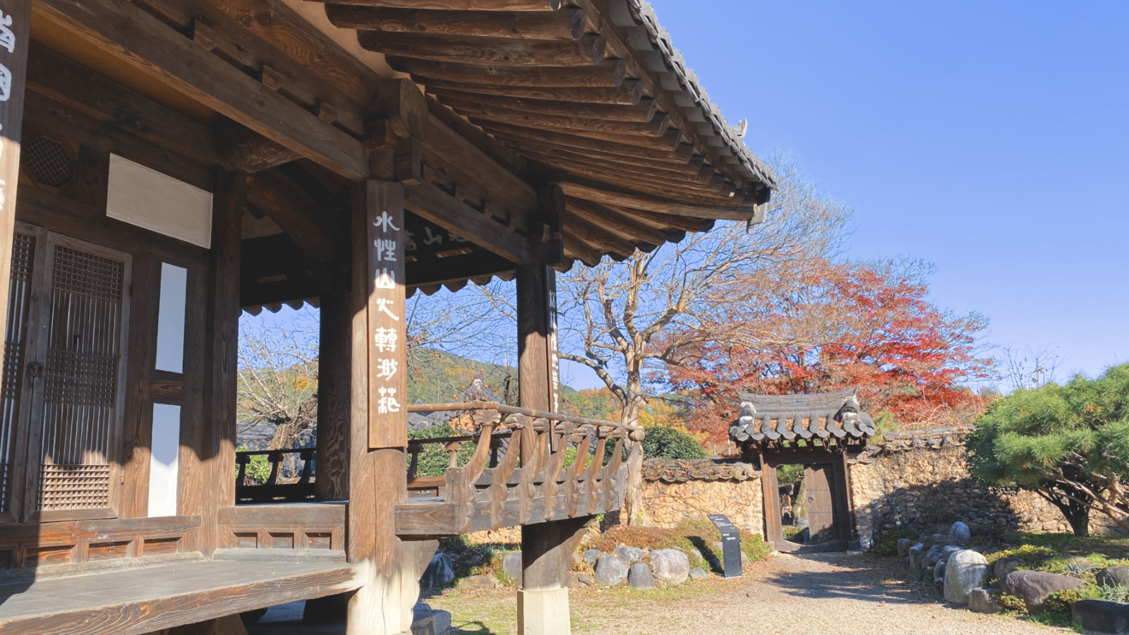 哇,人参随便挖!韩国还能这么玩