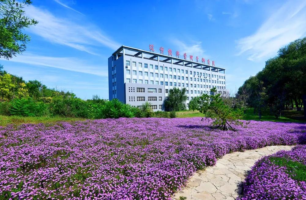 辽宁经济职业技术学院最新消息,辽宁经济职业技术学院国家重点