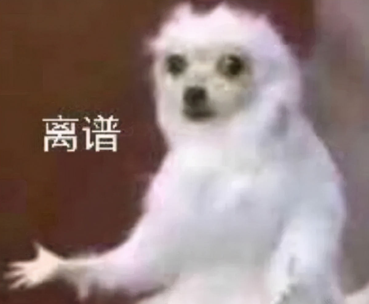 江南布衣:软色情童装品牌,猖狂的伪艺术