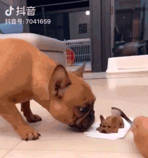 盘点美食界的假美食,盘点被包装欺骗的美食