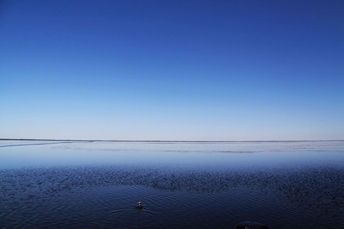 内蒙古你们不知道的冷知识,关于内蒙古你不知道的事