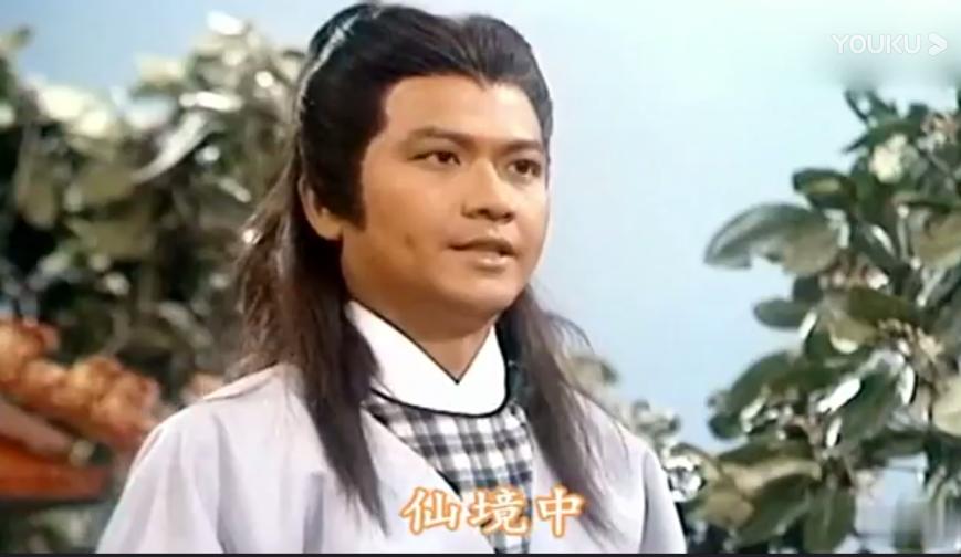 电视剧刘德华版魔域桃源主题曲,赵雅芝刘德华演的电视剧魔域桃源