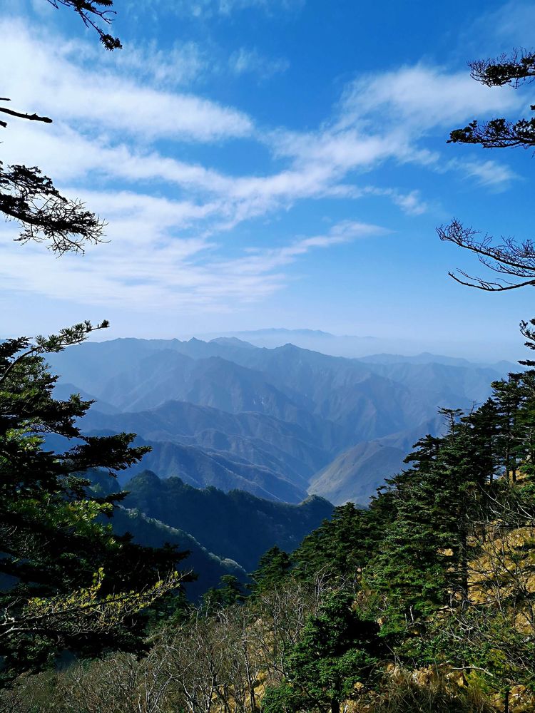 20201101惊悚之行~首阳山大坪梁单日横穿+原返