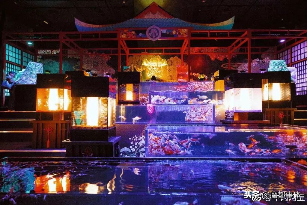 上海天安千树网红打卡点,上海打卡必去的地方排名