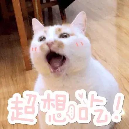 买的粽子粽叶翠绿的是怎么回事,粽子粽叶如何选择