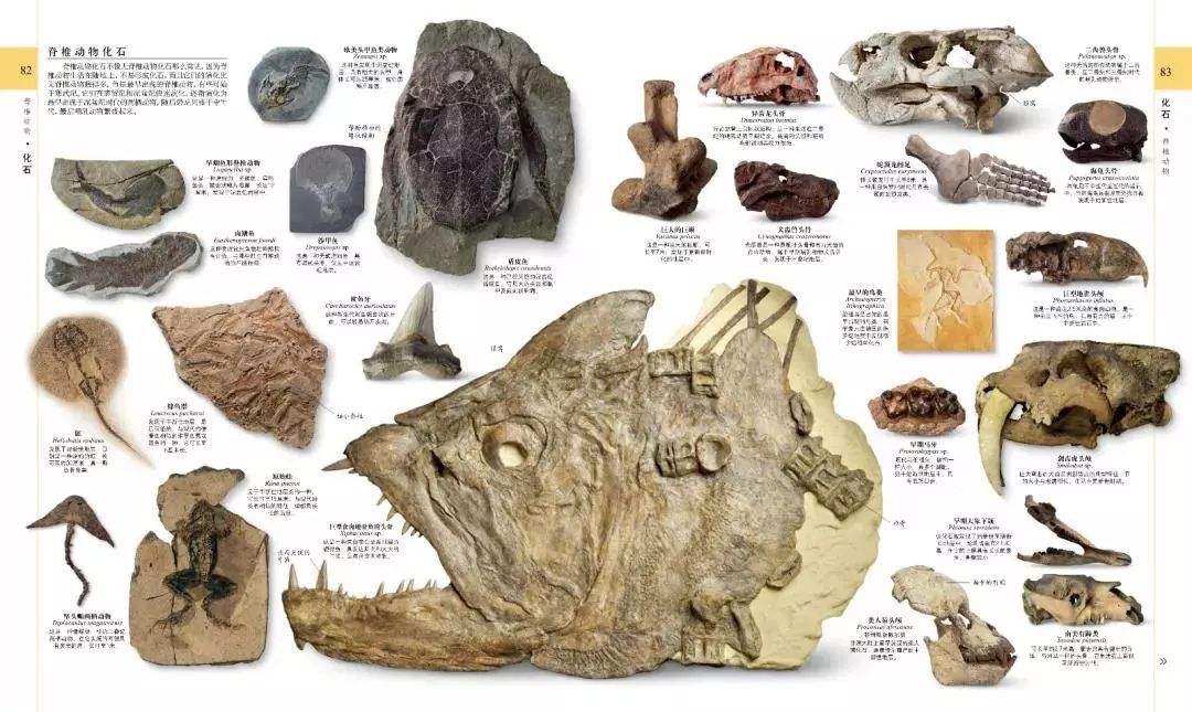 让更多的孩子走进早教课堂,早教课该不该上