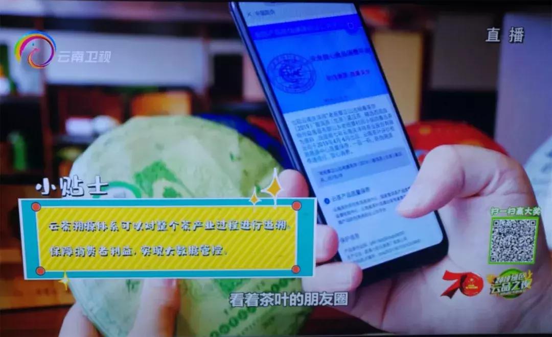 云南有什么名烟名酒名茶,2021年云南十大名茶排名