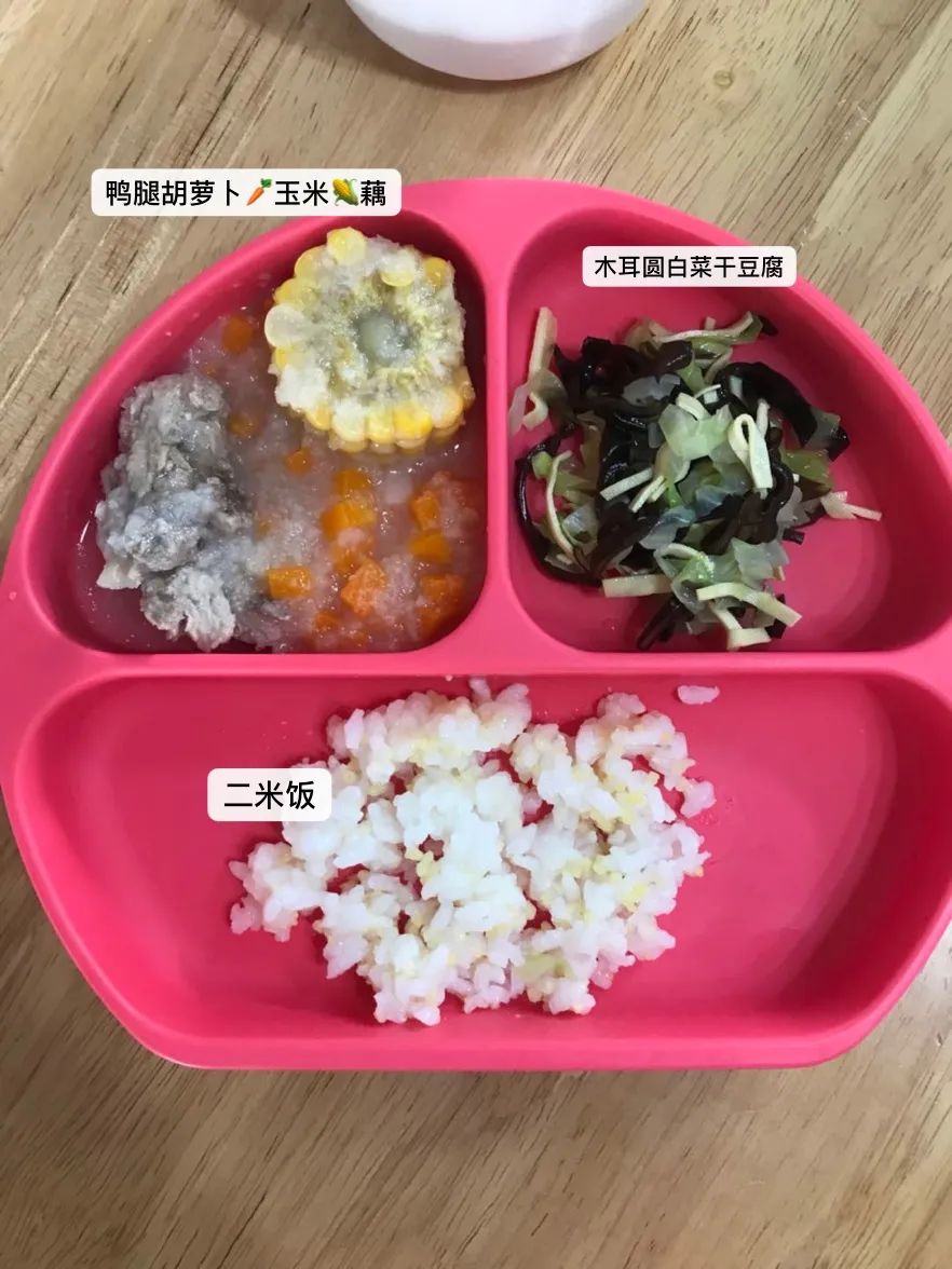 15个月宝宝奶跟辅食怎么安排,13个月宝宝不吃辅食只喝奶咋办