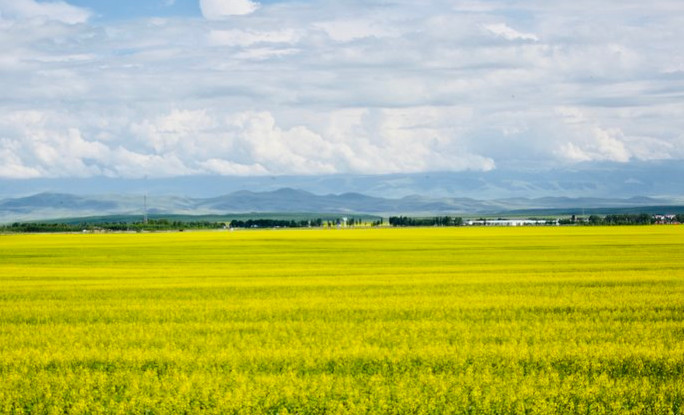 你永远不会体会到*疆新**公路的风情万种,除非你亲自自驾到那里!