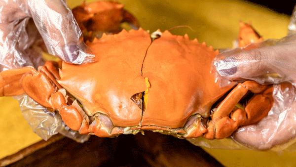 广州十大高档大排档价格,广州生腌海鲜大排档