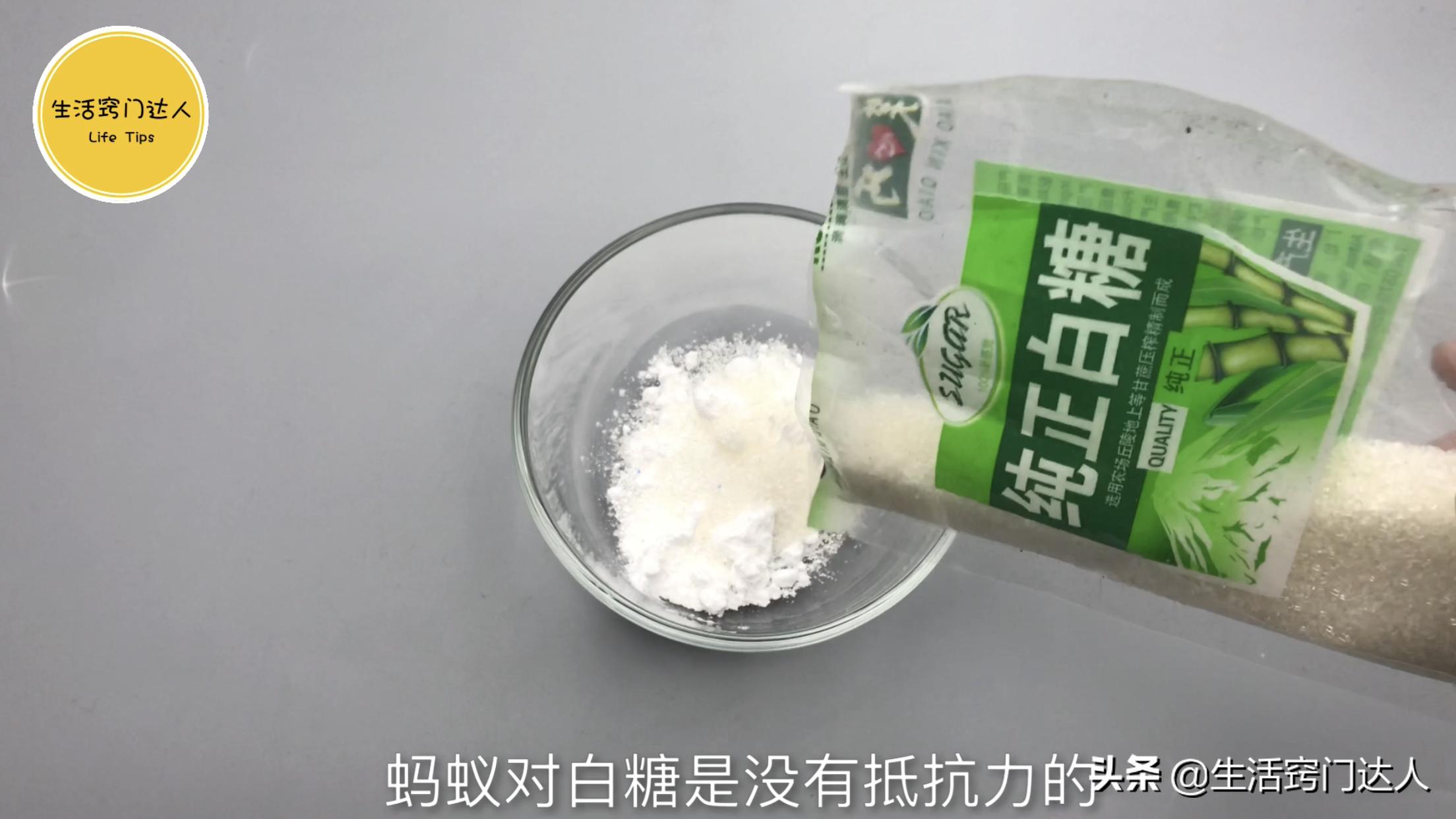 用开水烫蚂蚁有用吗,别用开水烧蚂蚁