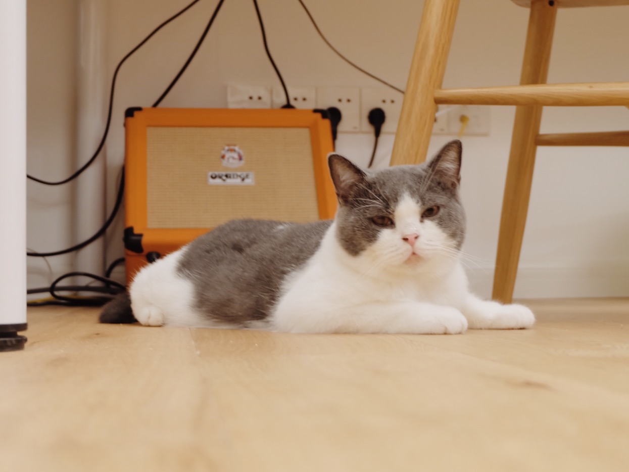 兔绵之家：平凡风格的真意|XSDesign