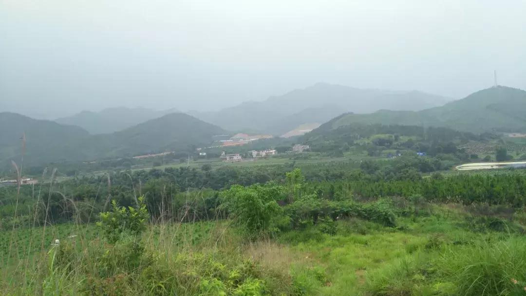 始兴市区游玩攻略,韶关始兴县旅游攻略