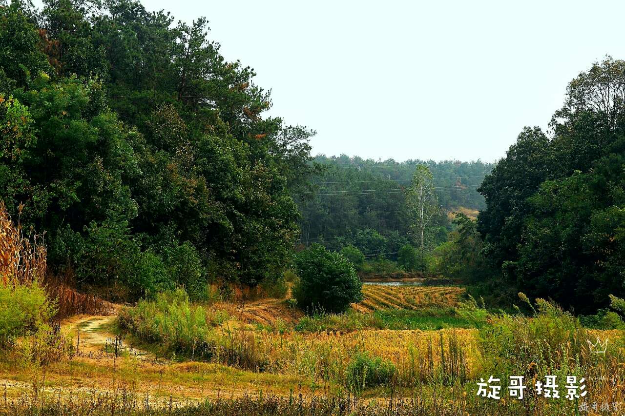 李白静夜思在哪个地方作诗,李白的梦游天姥吟留别的时代背景