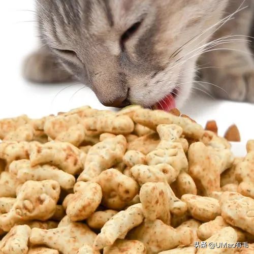 李佳琦叫卖都不管用！双十一猫咪用品这些坑得避