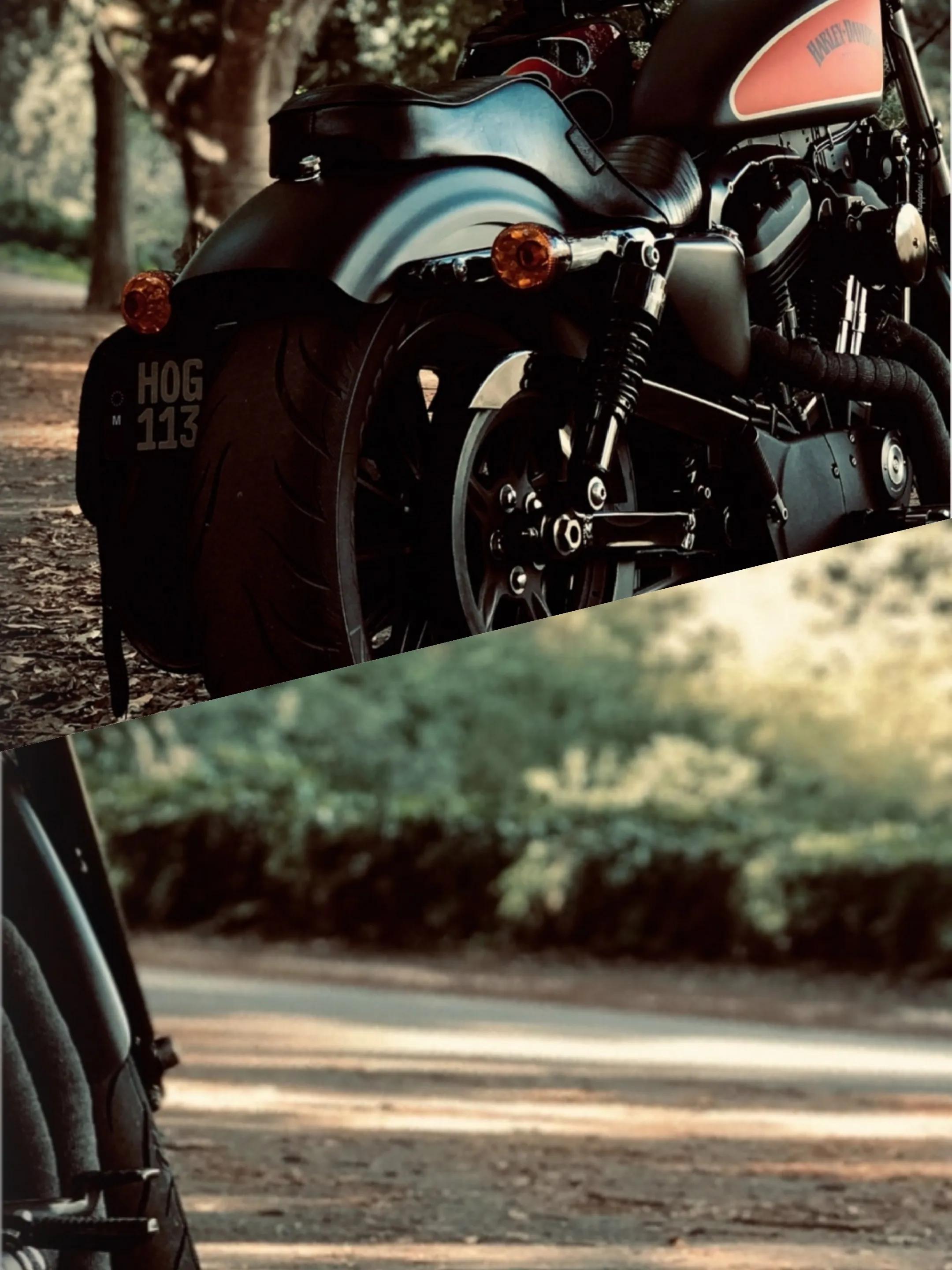 哈雷iron883,哈雷iron883硬汉新车