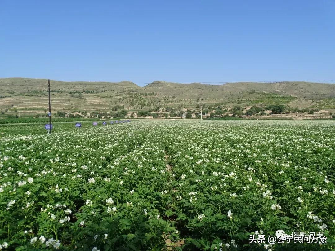 喜见斯人真福气，得和红玉缔良缘