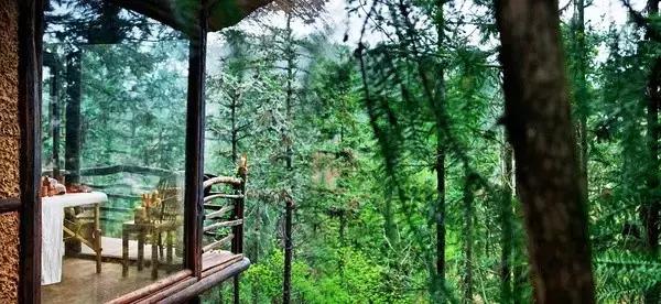 莫干山民宿20000一晚,莫干山民宿十八迈度假酒店