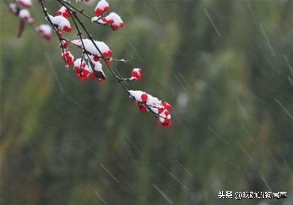 小雪见晴天有雪到年边啥意思,民间有小雪大雪的说法