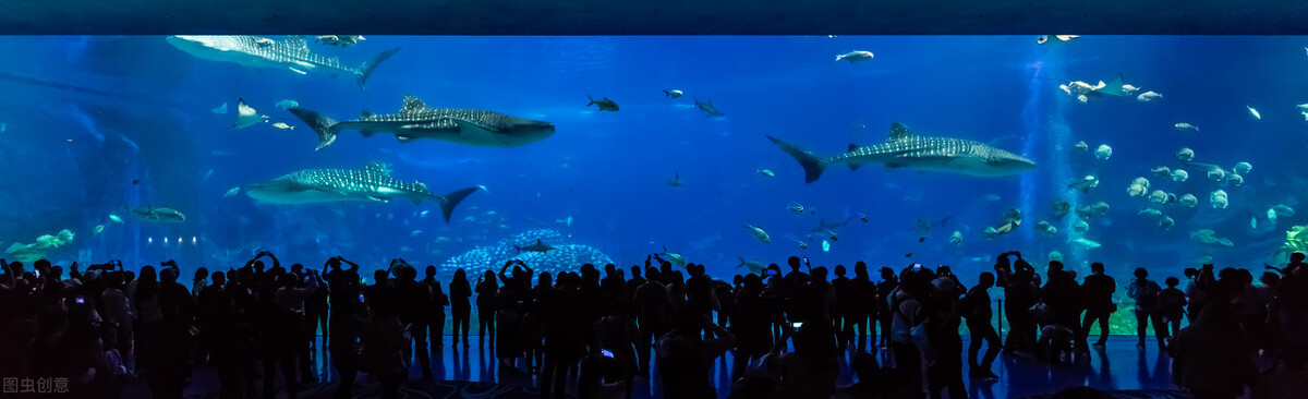 珠海有哪些好玩的地方或景点啊,珠海旅游攻略必去景点排行榜