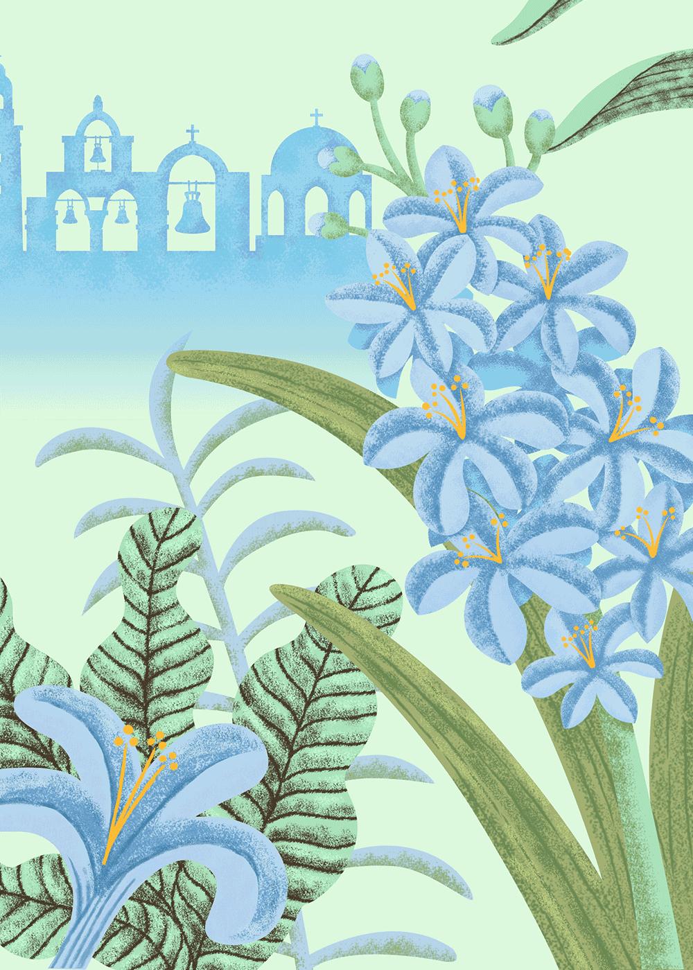 怎么辨别黑妹牙膏的真假,黑妹牙膏早期视频