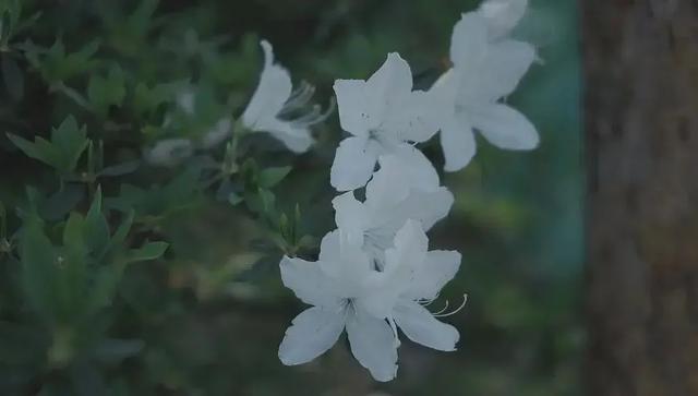 一人一茶一炷香,一茶一坐提示牌