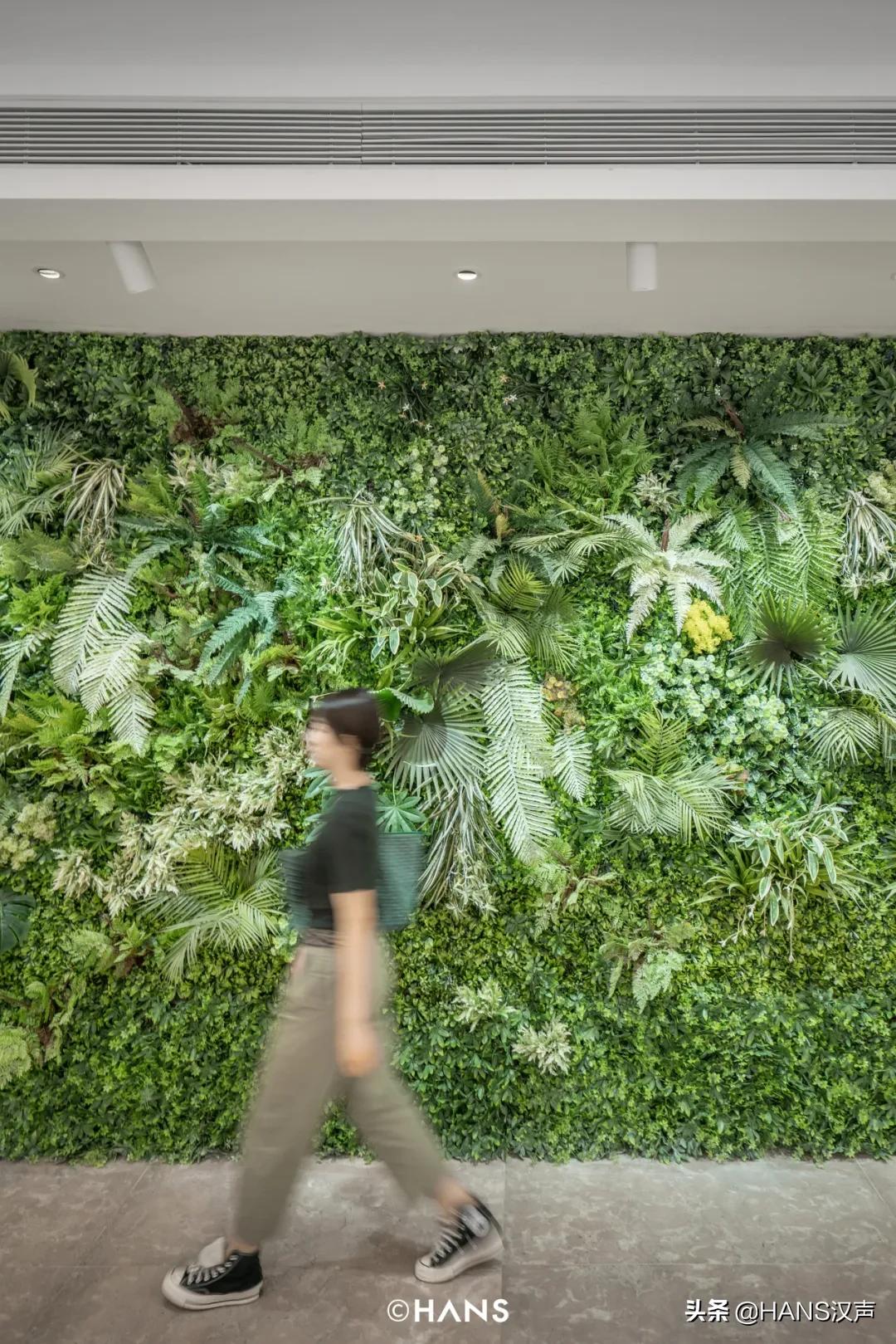 一年逛两次曼城北角,武汉国广最新消息