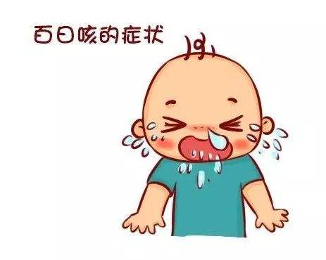 宝宝百日咳怎么治疗最有效,宝宝百日咳的注意事项