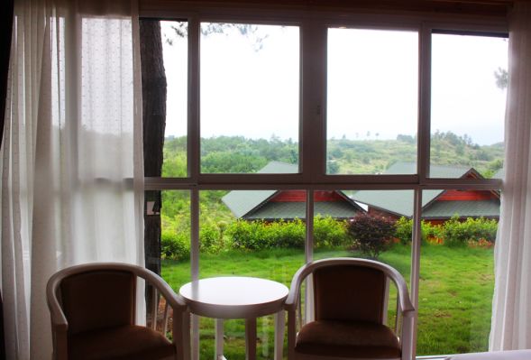 春日活动来袭秒杀团购等你来,韶关香草世界森林公园小木屋