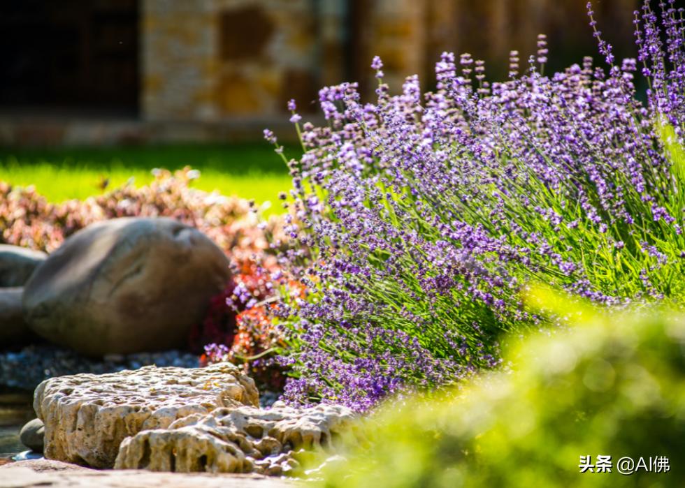 美国各州最富有的镇,美国所有城市最富的是哪个城市