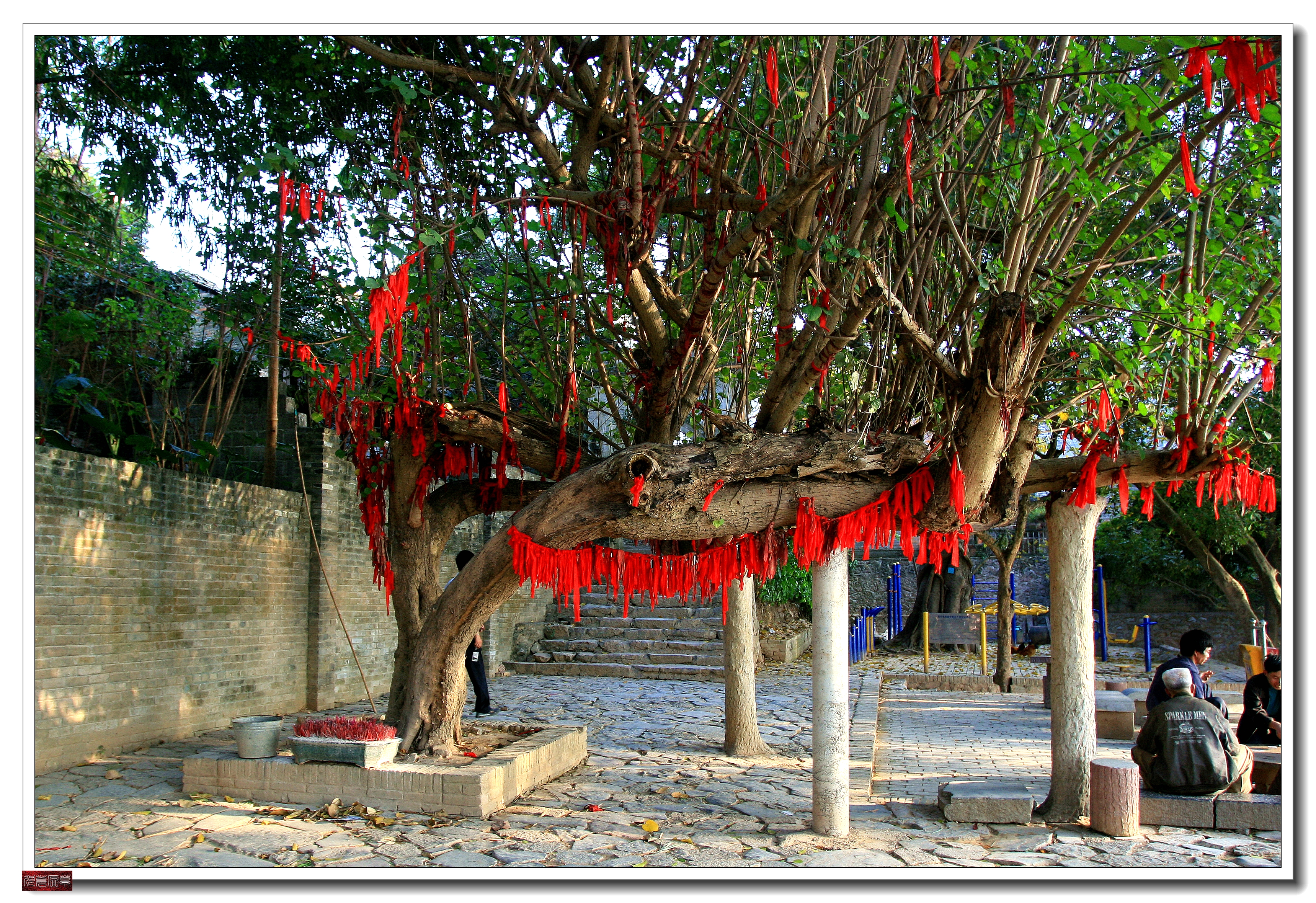 八桂之区,八桂之乡图片大全