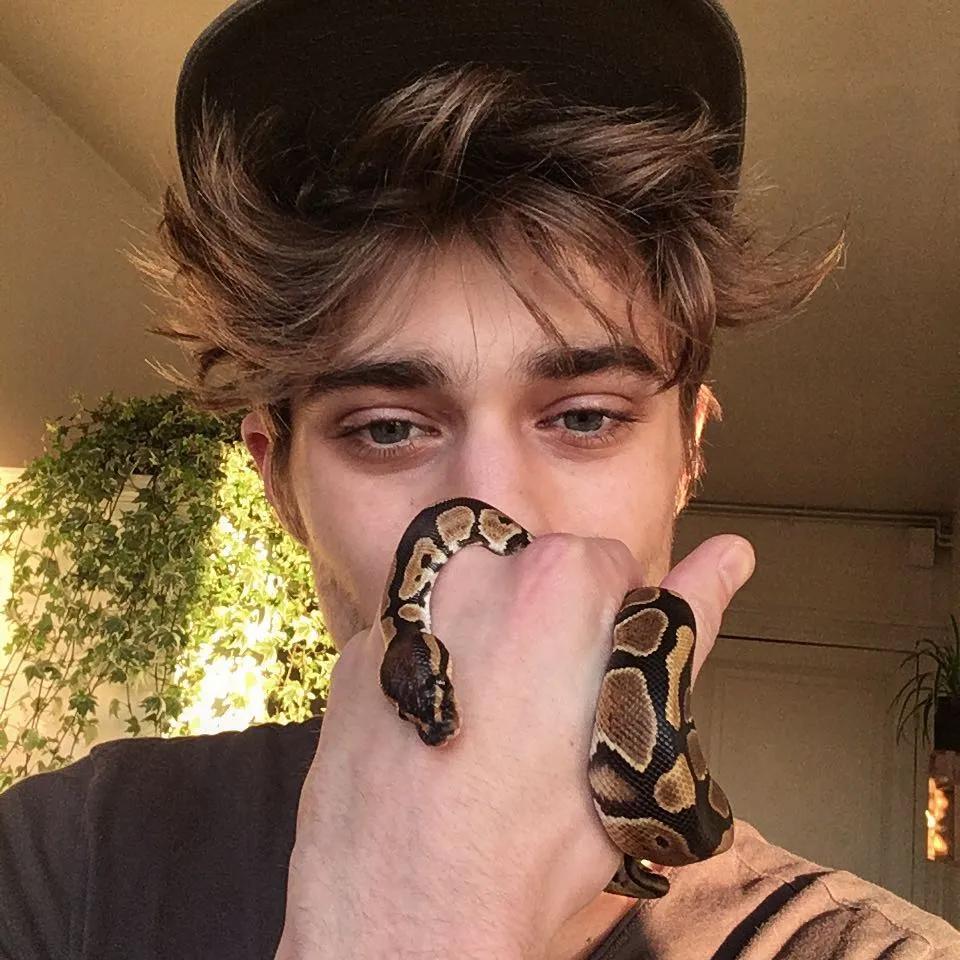 四大帅哥哈利波特,身高185的帅气男模