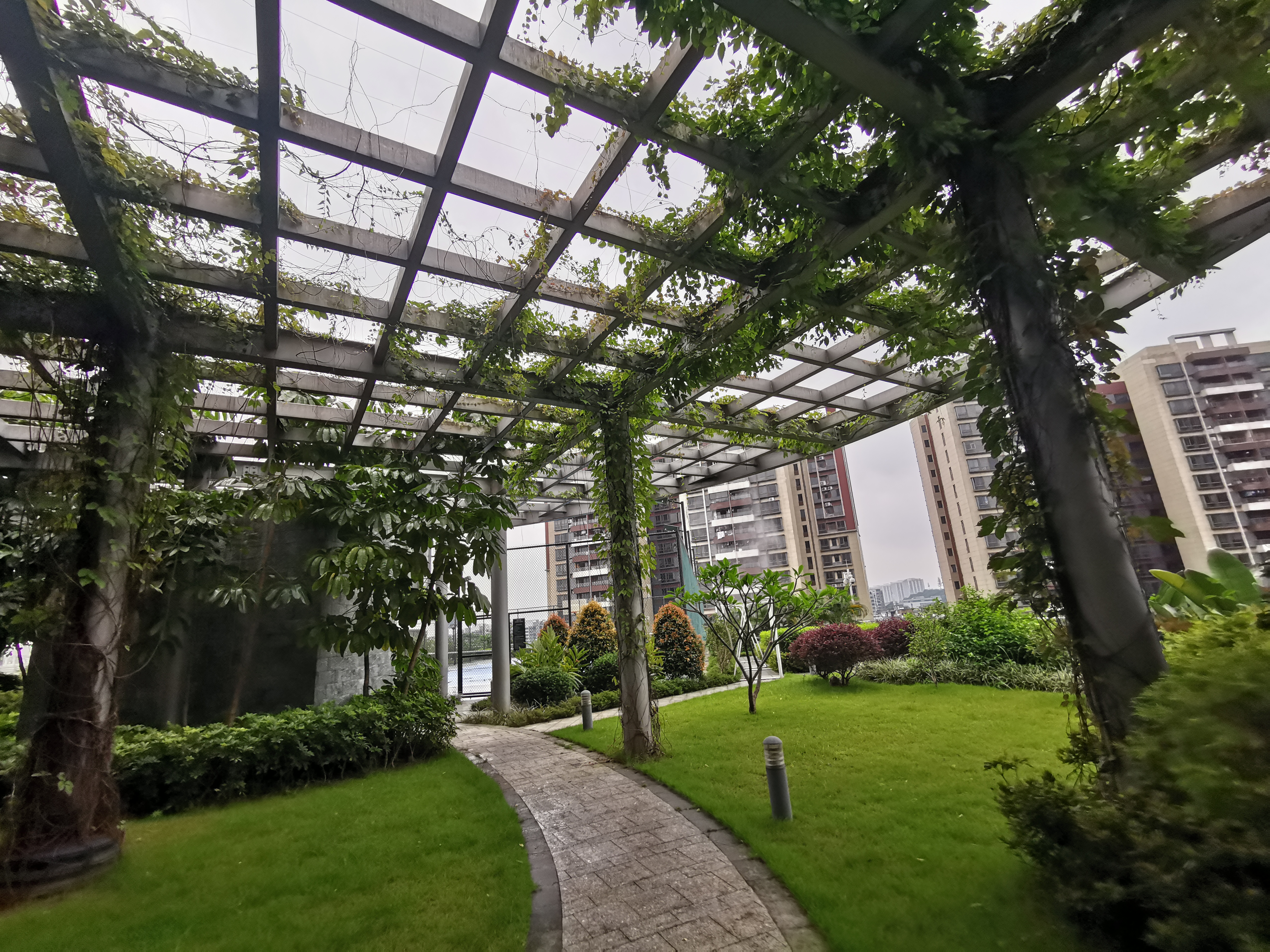 广州汇华希尔顿逸林酒店月饼,广州汇华希尔顿逸林酒店自助餐厅