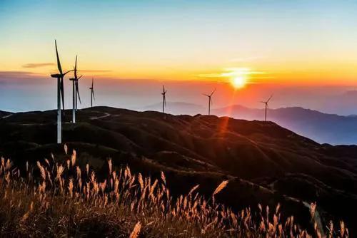 莫道桑榆晚为霞尚满天表达了什么,莫道桑榆晚为霞尚满天语录