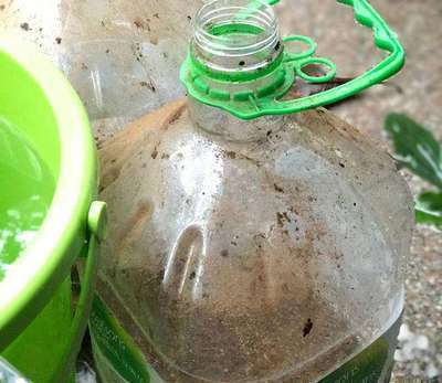 厨房养花的十大好处,厨房有什么植物可以净化空气