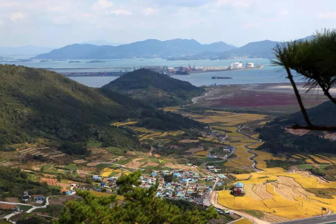 陈璘将军的故事,大明万历王朝陈璘将军