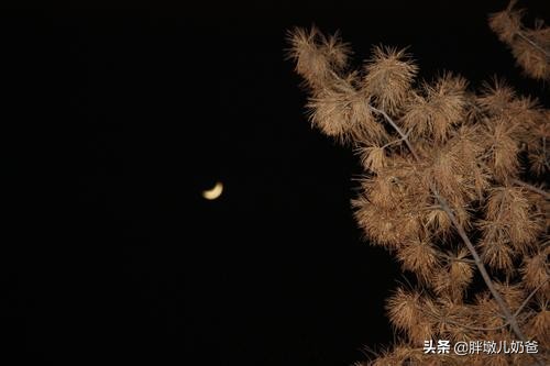 孩子老是觉得家里很穷花钱就心疼,孩子总是眉头紧锁看着不喜庆