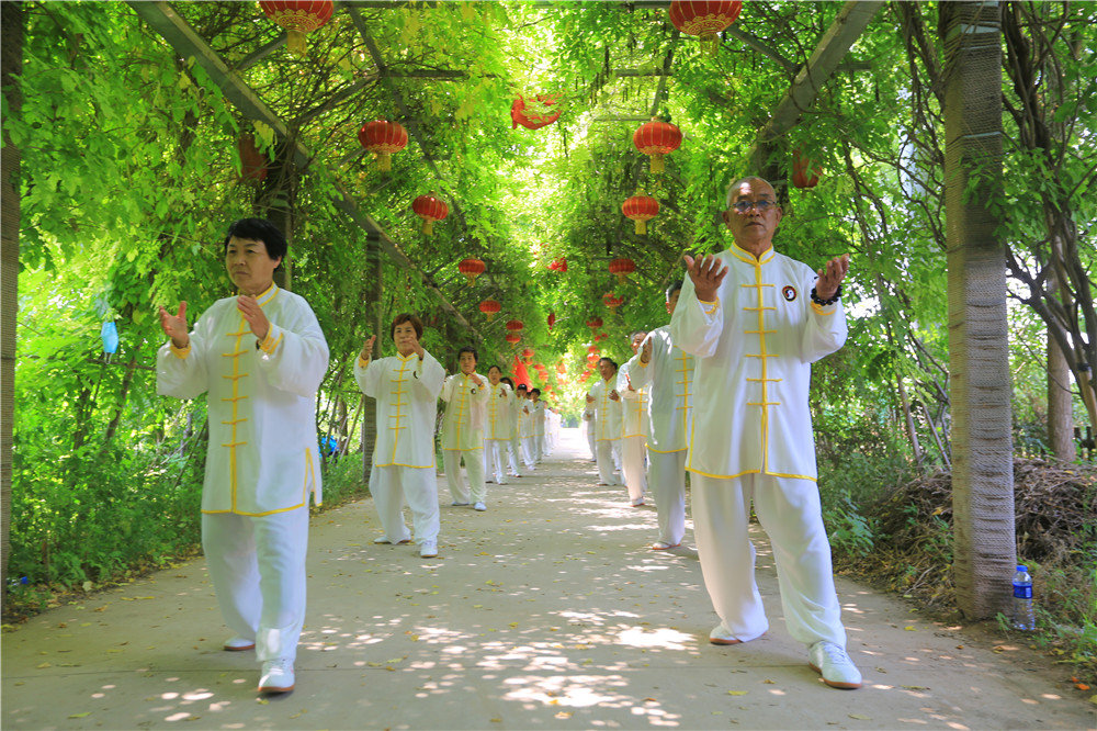 直播“云游”河北古县！连办29年红杏商务节点将巨鹿“四大美景”