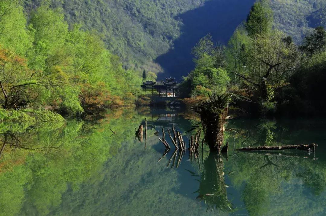 cnn评出中国40个最美的地方,cnn曾评出中国最美40个景点