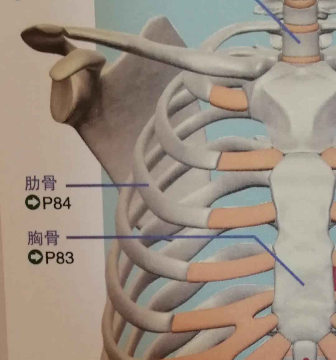 肩胛骨“咔嚓响”的3大原因，这3个动作可以帮您改善