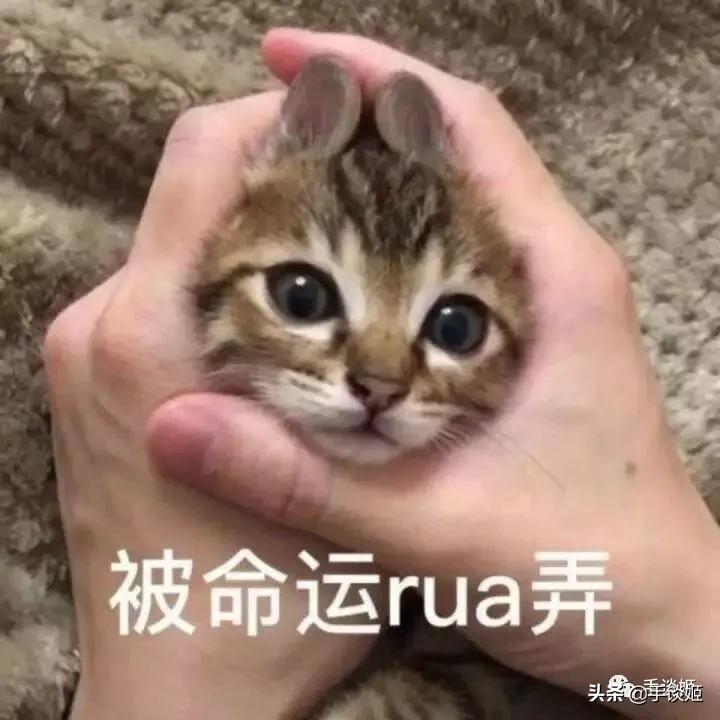 怪蜀黍外貌却能开口配出萝莉音？这位抖音上的声优让我跪了