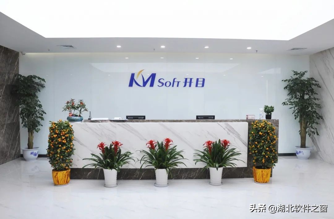 行业自律双软先行（十一）|开目公司：专业专注，智造未来