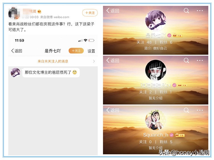 肖战惨遭威胁“627数据曝光”？有叫嚣就有回击，桃炎报价被公开