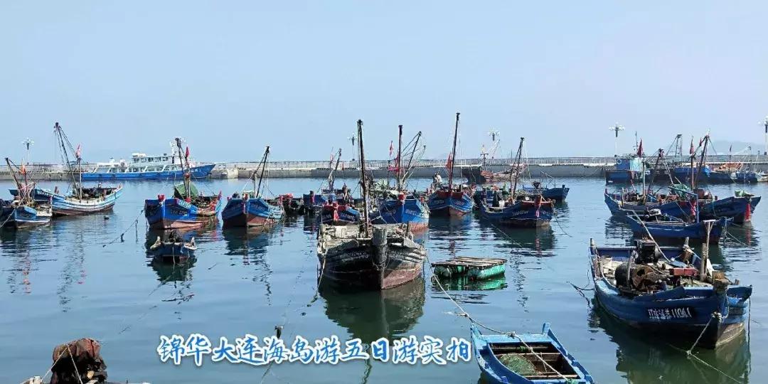大连绝美海岛旅游攻略路线,七月去大连哪个海岛旅游好